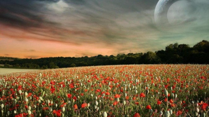 如何看待不超过1879元的Mac mini（M4+16/256GB+票），易用性吊打同级其他台式电脑？